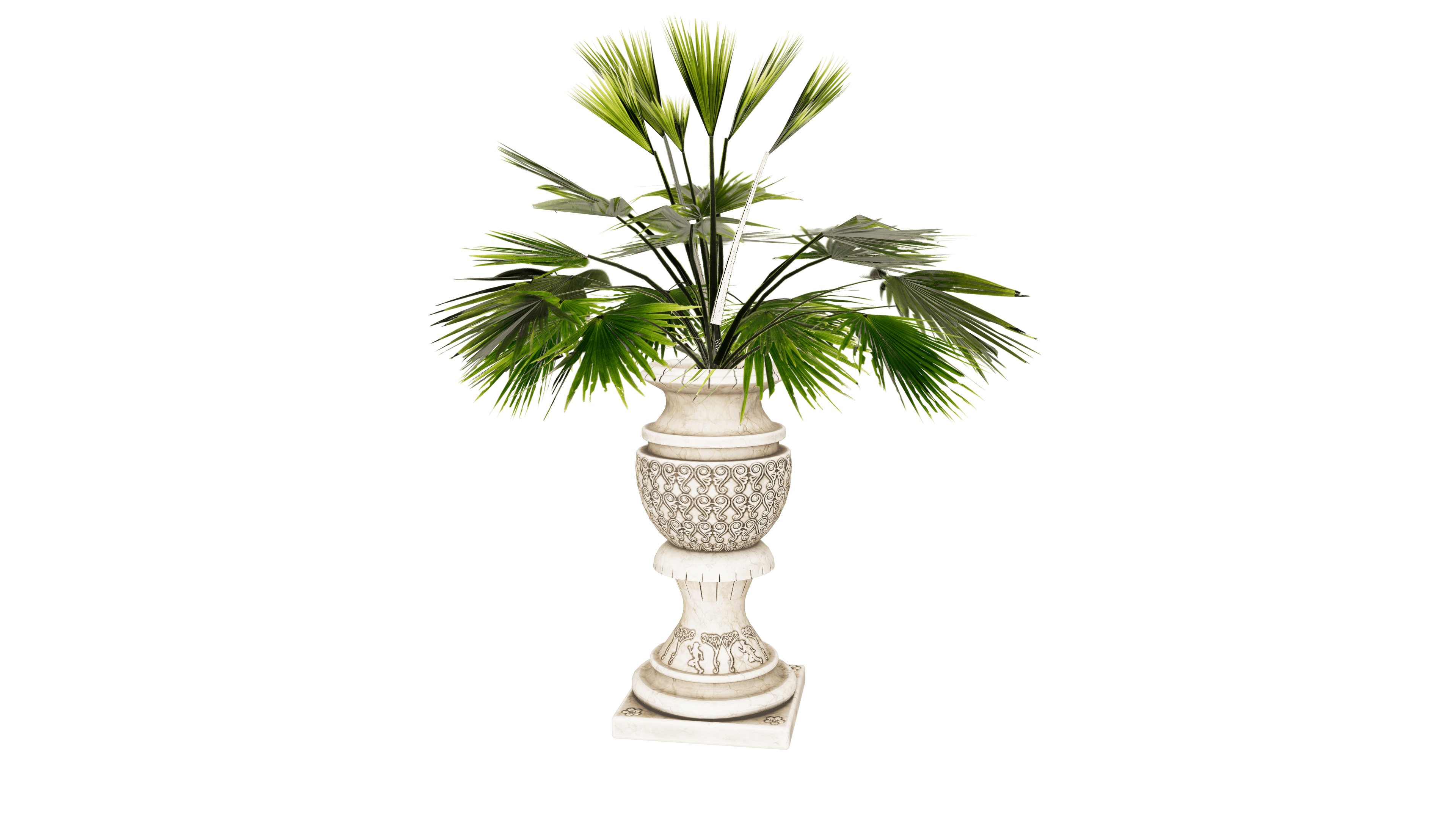 3D Plant Model Preview